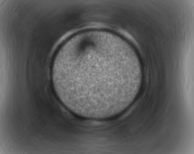 X0000085301318200703301951