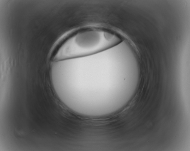 X0000085301319200703301951