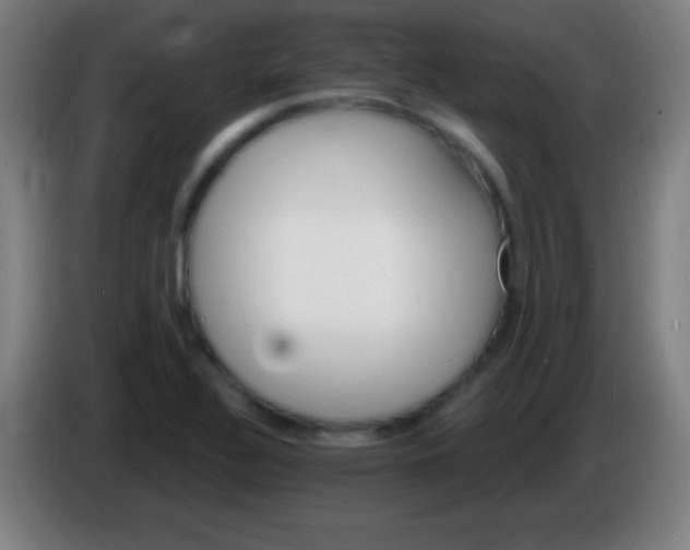 X0000085301320200703301951