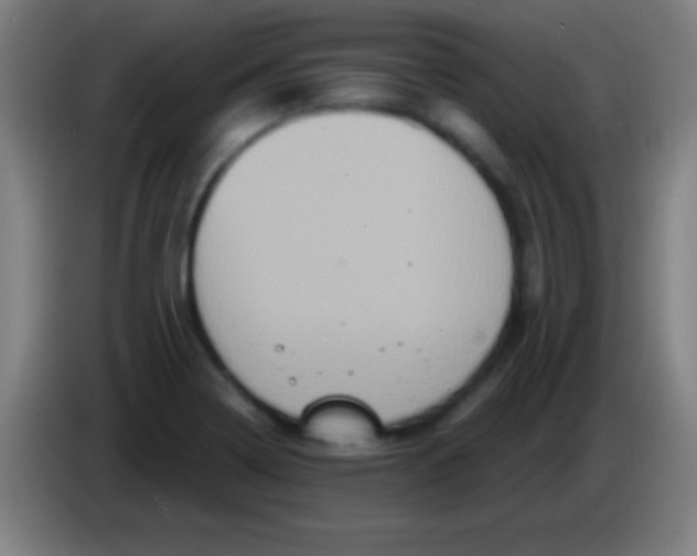 X0000085301322200703301951