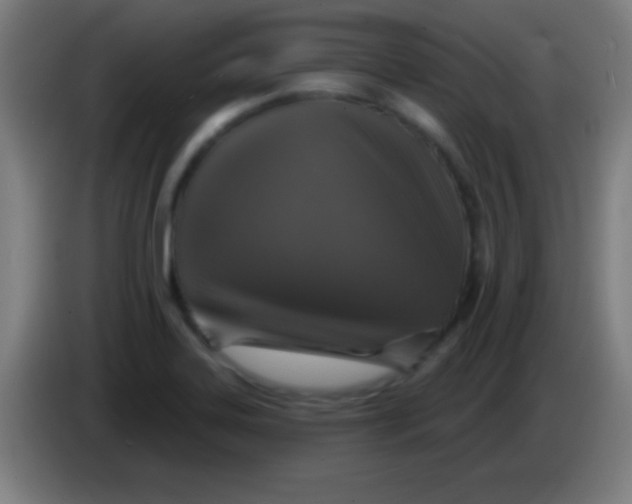 X0000085301323200703301951