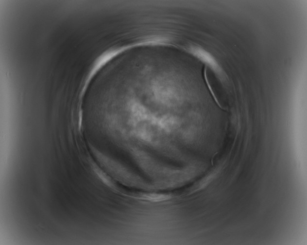 X0000085301324200703301951