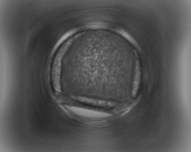 X0000085301325200703301951