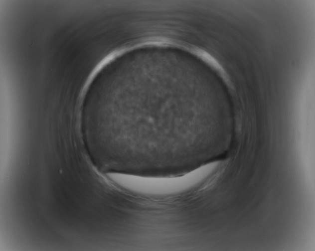 X0000085301326200703301951