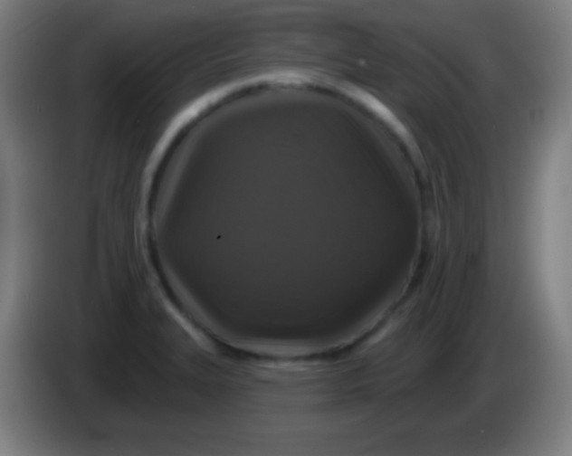 X0000085301327200703301951