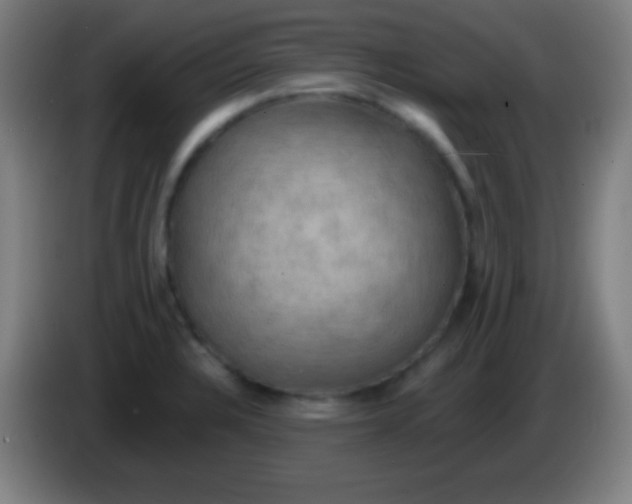 X0000085301328200703301951