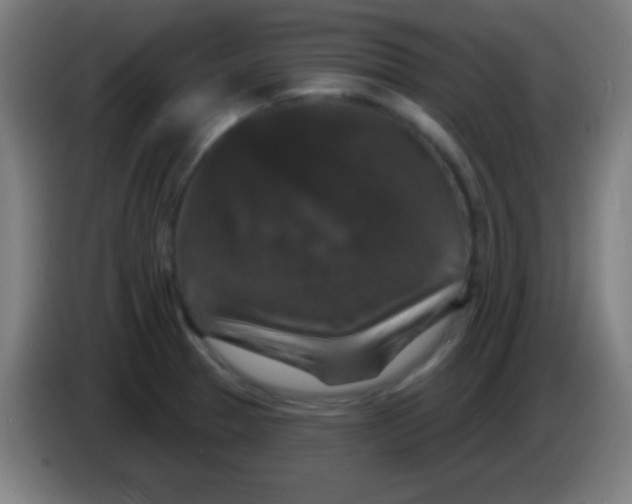 X0000085301329200703301951