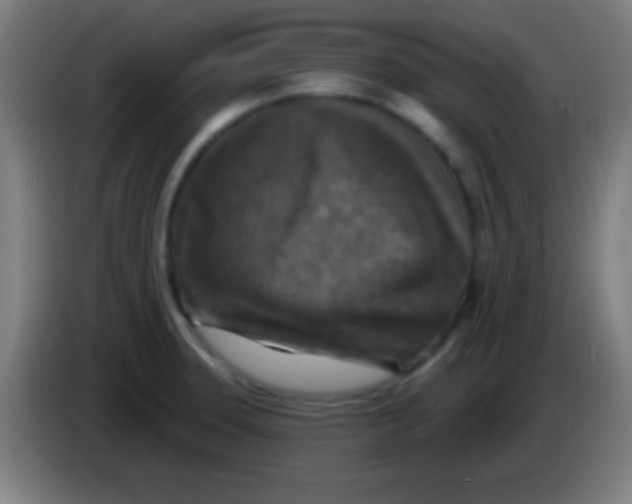 X0000085301331200703301951