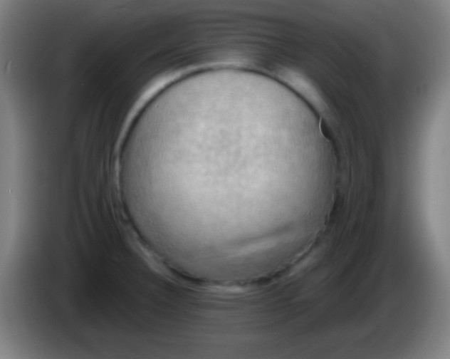 X0000085301332200703301951