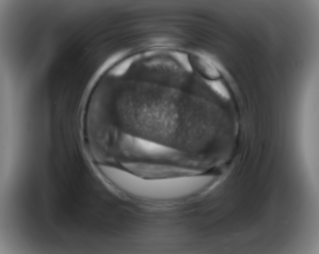 X0000085301333200703301951