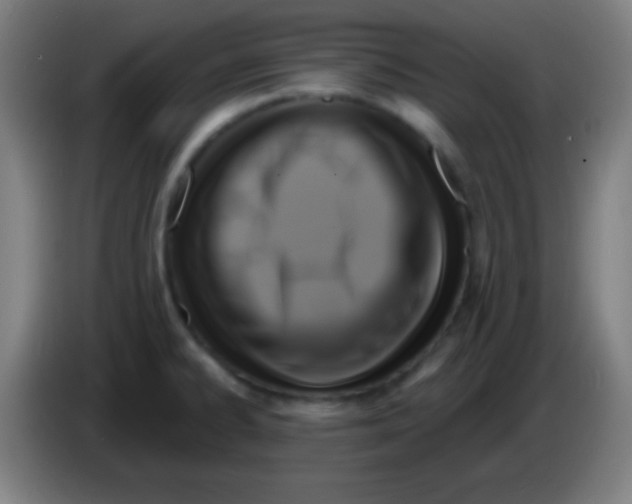 X0000085301334200703301952