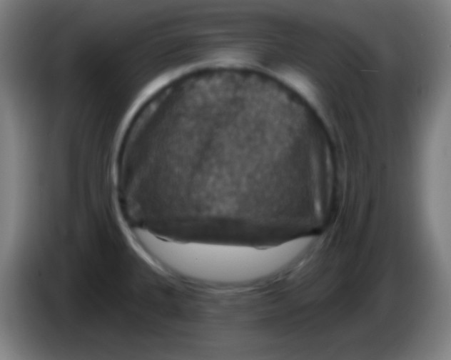 X0000085301335200703301952