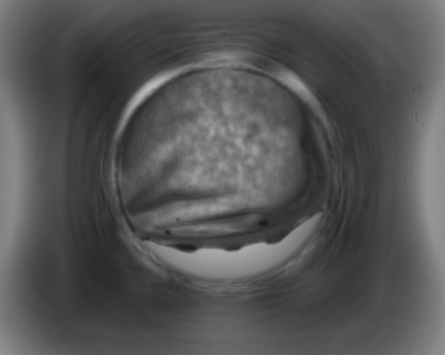 X0000085301336200703301952