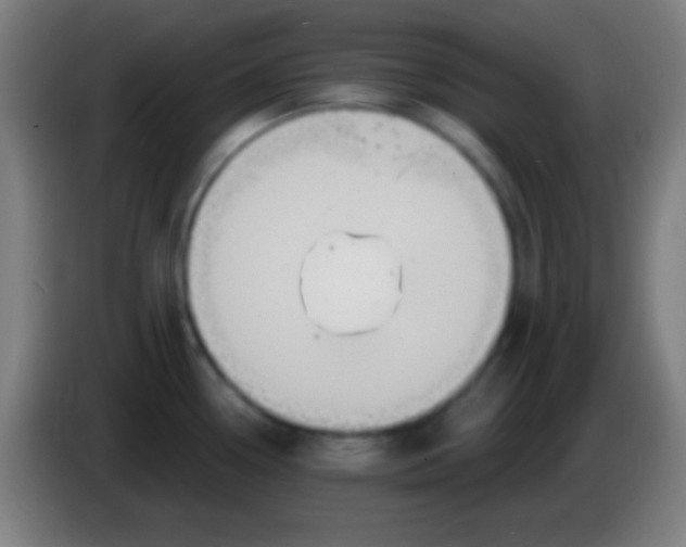 X0000085301338200703301952