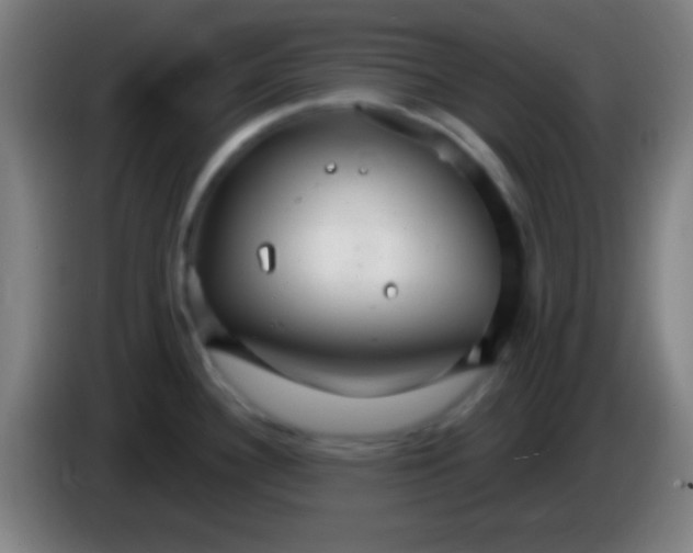 X0000085301340200703301952