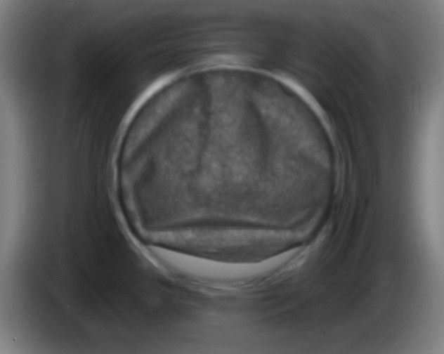 X0000085301341200703301952