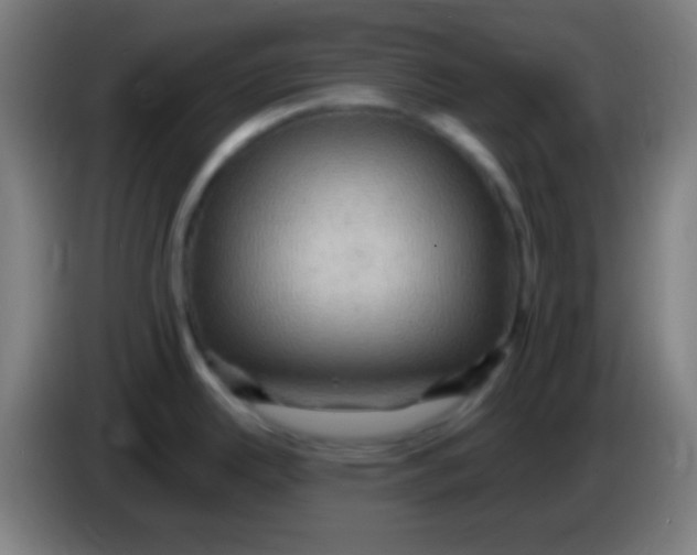 X0000085301342200703301952