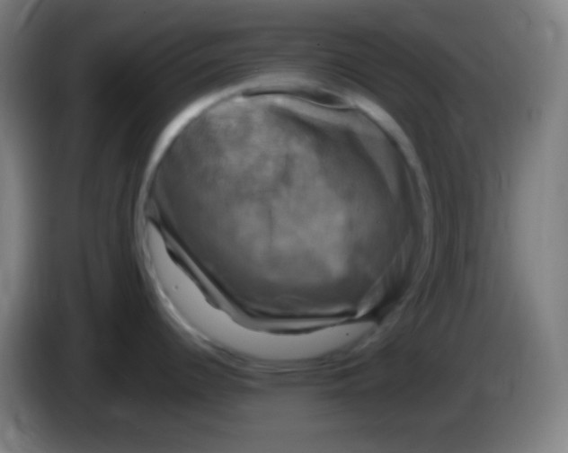 X0000085301344200703301952