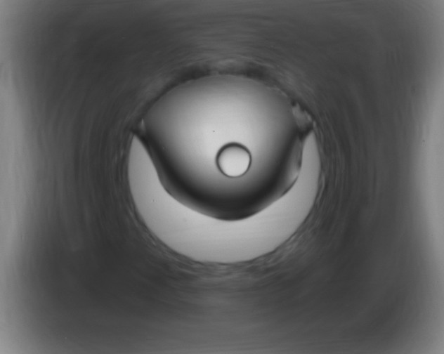 X0000085301345200703301951