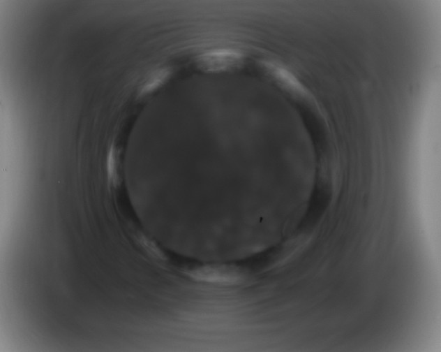 X0000085301346200703301951