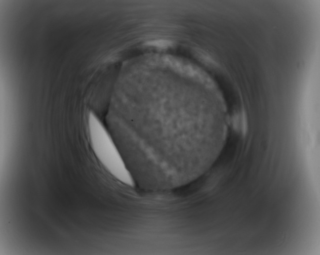 X0000085301347200703301951