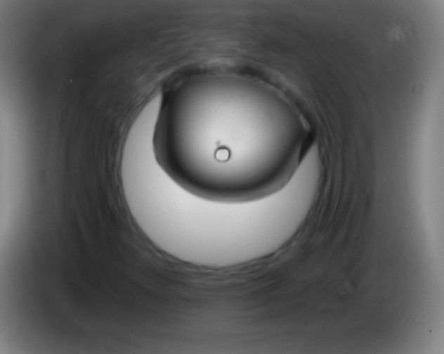 X0000085301348200703301951