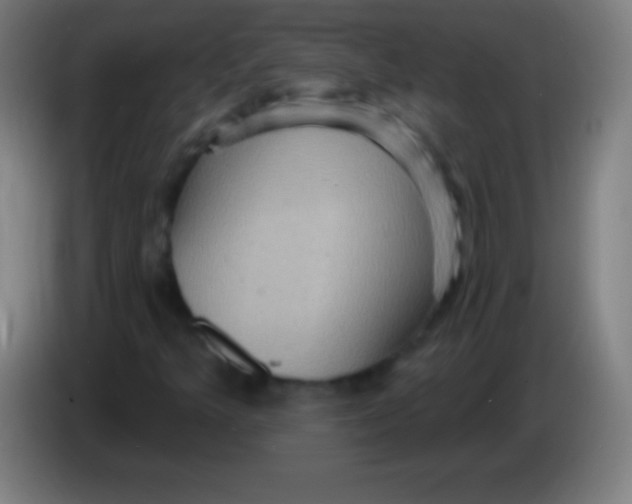 X0000085301349200703301951