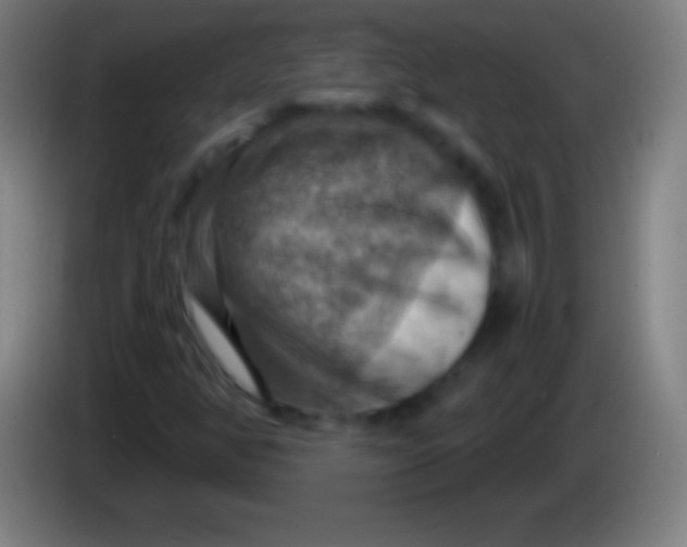 X0000085301350200703301951