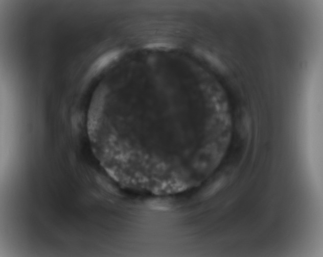 X0000085301351200703301951