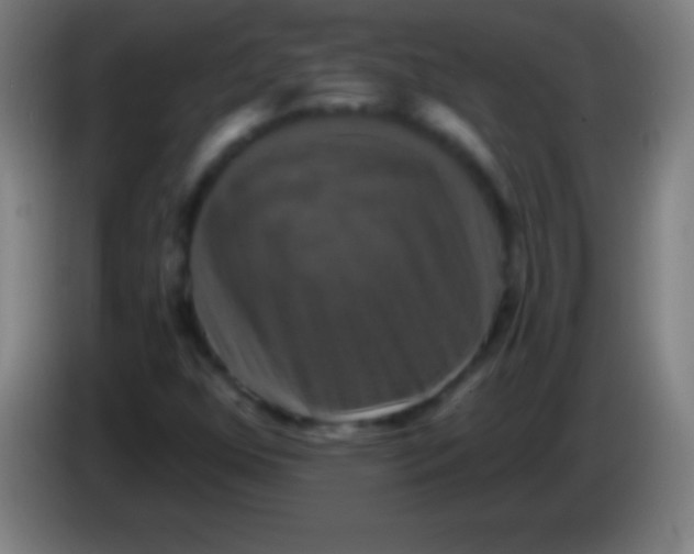 X0000085301352200703301951