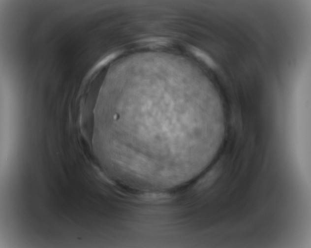 X0000085301354200703301951