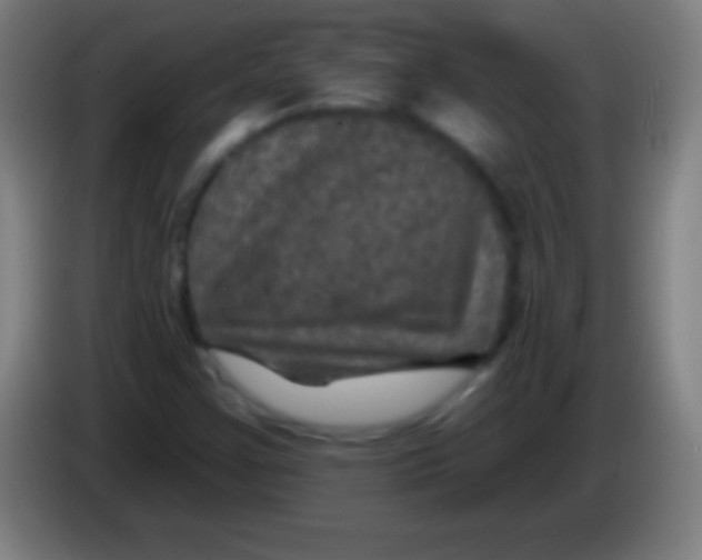 X0000085301355200703301951