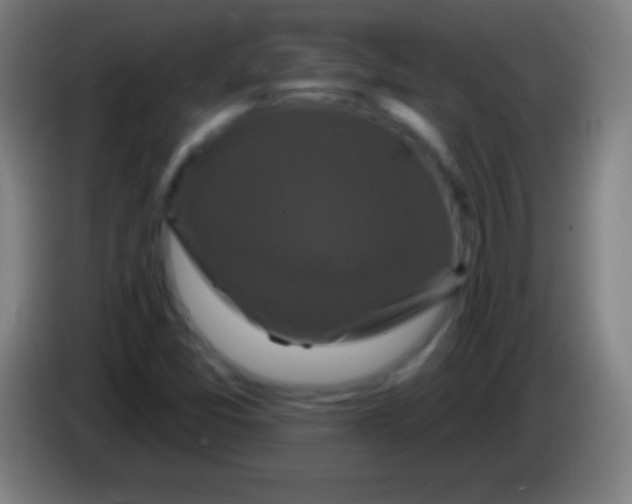 X0000085301357200703301951