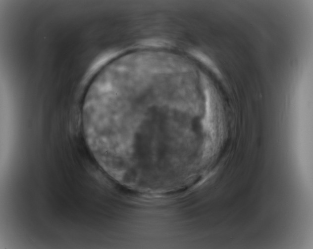 X0000085301358200703301951