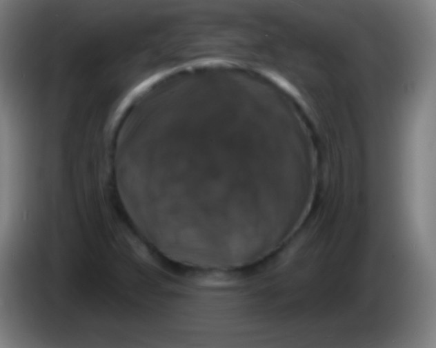 X0000085301359200703301951