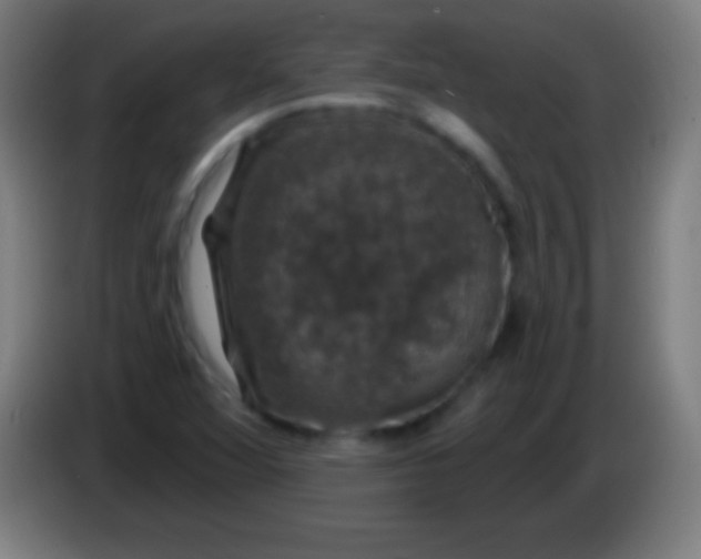 X0000085301360200703301951