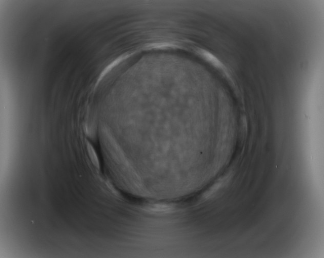 X0000085301361200703301951