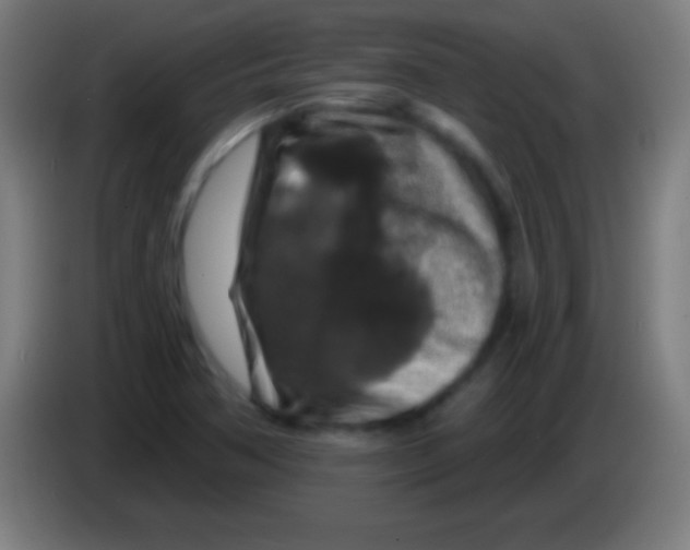 X0000085301362200703301951