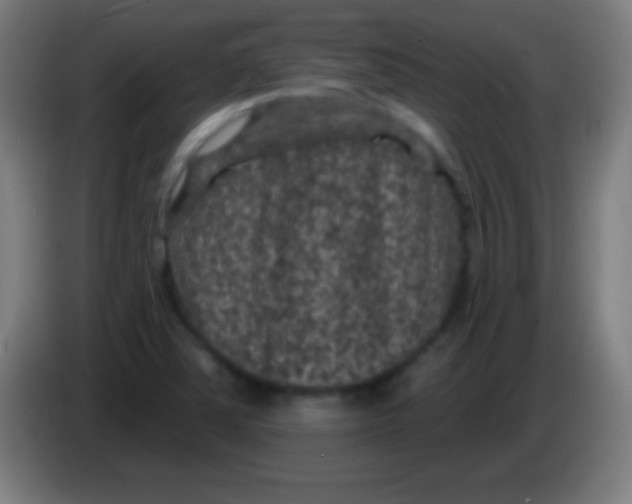 X0000085301363200703301951