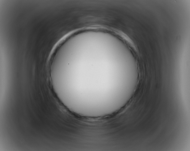 X0000085301364200703301951