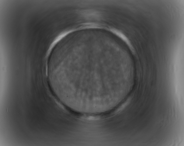 X0000085301365200703301951