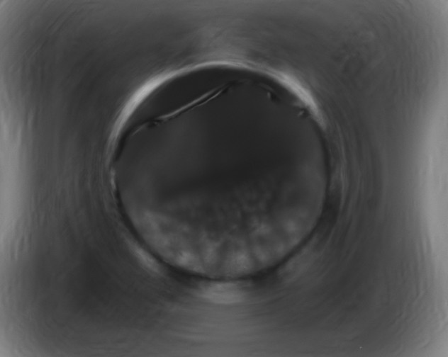 X0000085301367200703301951