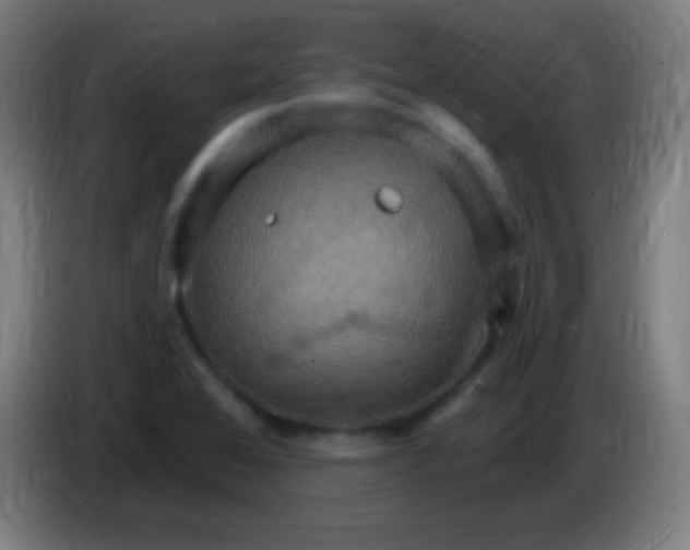 X0000085301368200703301951