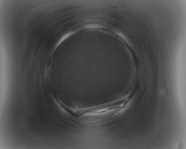 X0000085301369200703301951