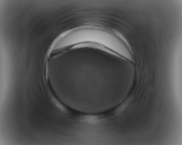 X0000085301371200703301951