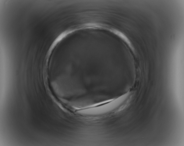 X0000085301373200703301951