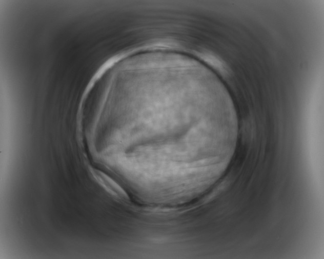 X0000085301374200703301951