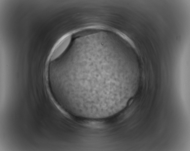 X0000085301375200703301951