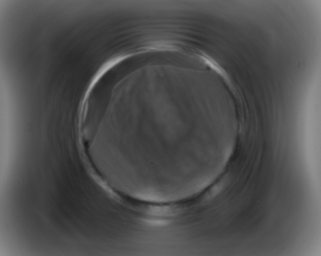 X0000085301378200703301951