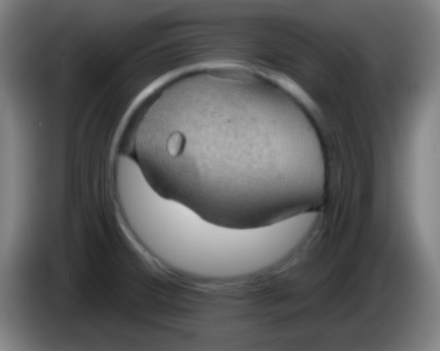 X0000085301380200703301950